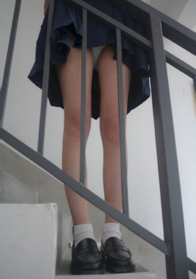 无套免费观看大象视频_高清电影完整版